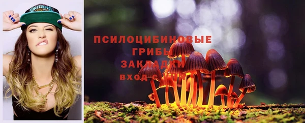 apvp Абаза