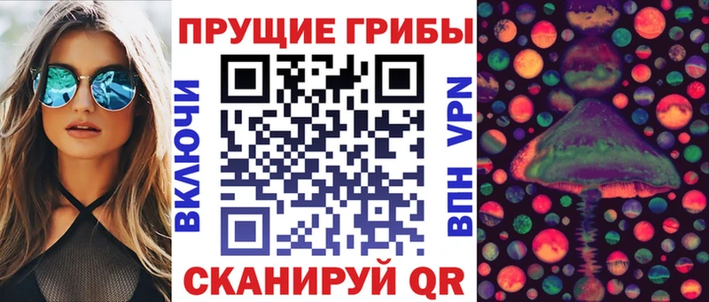 сколько стоит  Тольятти  Псилоцибиновые грибы Psilocybine cubensis 